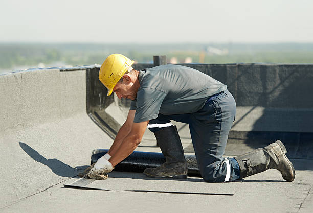 Best Insulation Maintenance and Repair in Osage City, KS