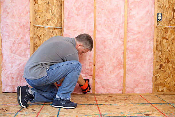 Best Insulation Maintenance and Repair in Osage City, KS